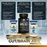 PeakForce Labs Gut-Brain Axis Research Protocol technical data infographic with BPC-157 capsules VIP and Selank vials on gold podiums